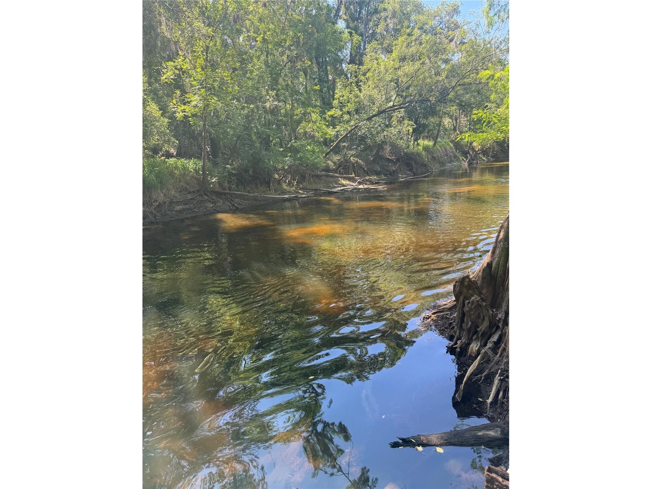 4405 Coconut Cove Place Valrico FL 33596 - ALAFIA RIVER TB8516566 image39