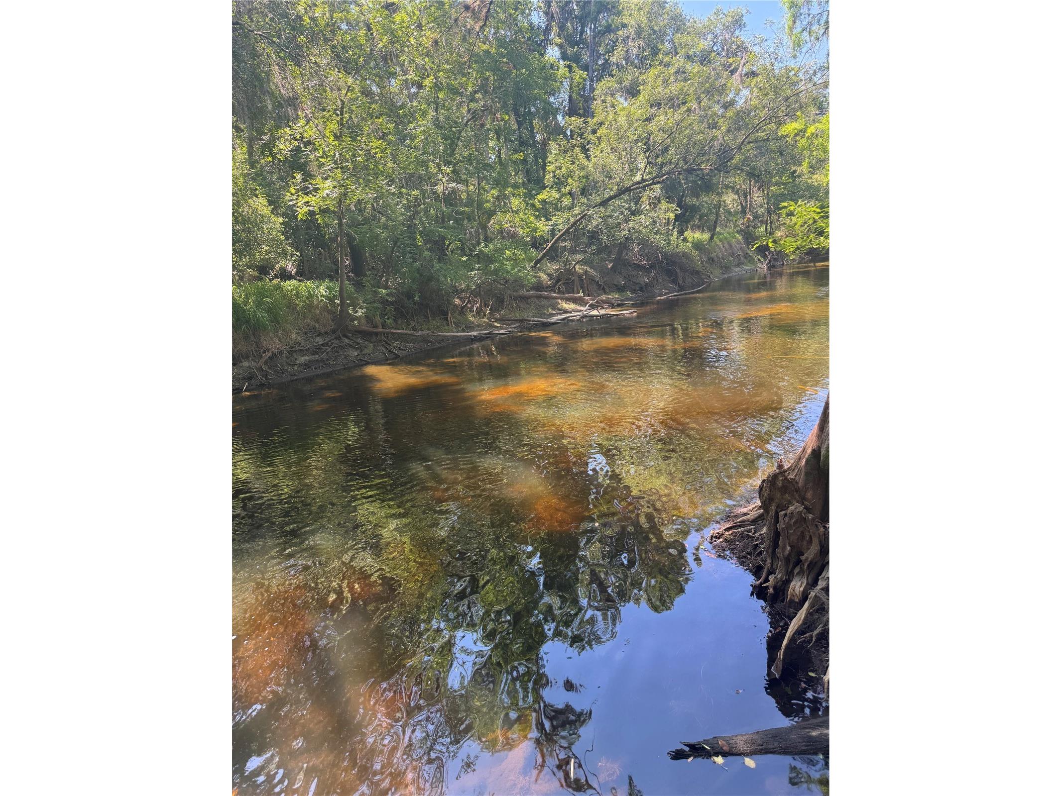 4405 Coconut Cove Place Valrico FL 33596 - ALAFIA RIVER TB8516566 image5