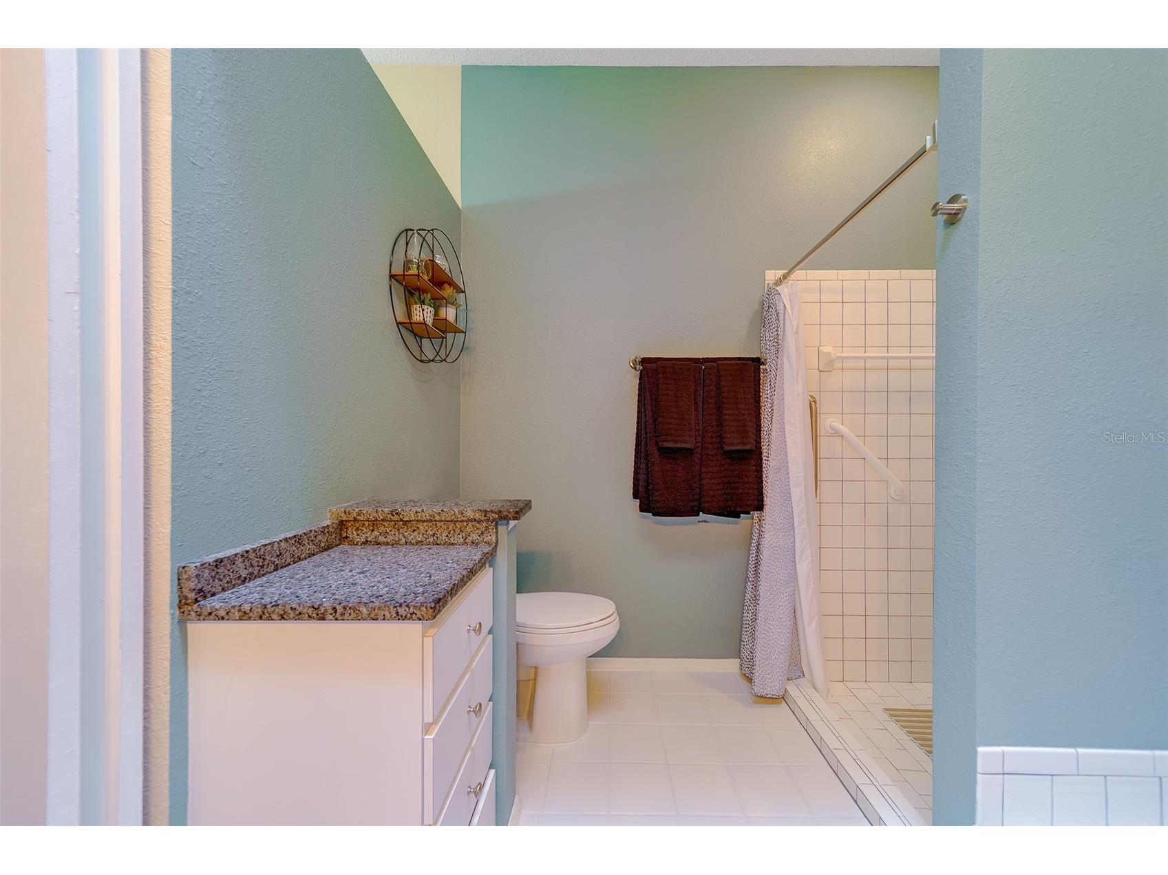 4405 Connery Court Palm Harbor FL 34685 TB8470055 image24