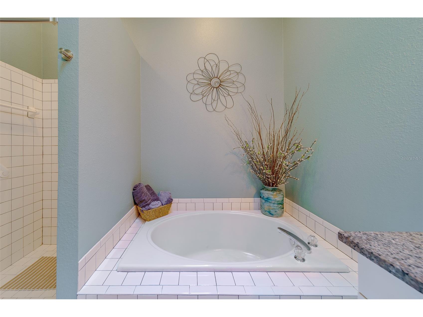 4405 Connery Court Palm Harbor FL 34685 TB8470055 image26