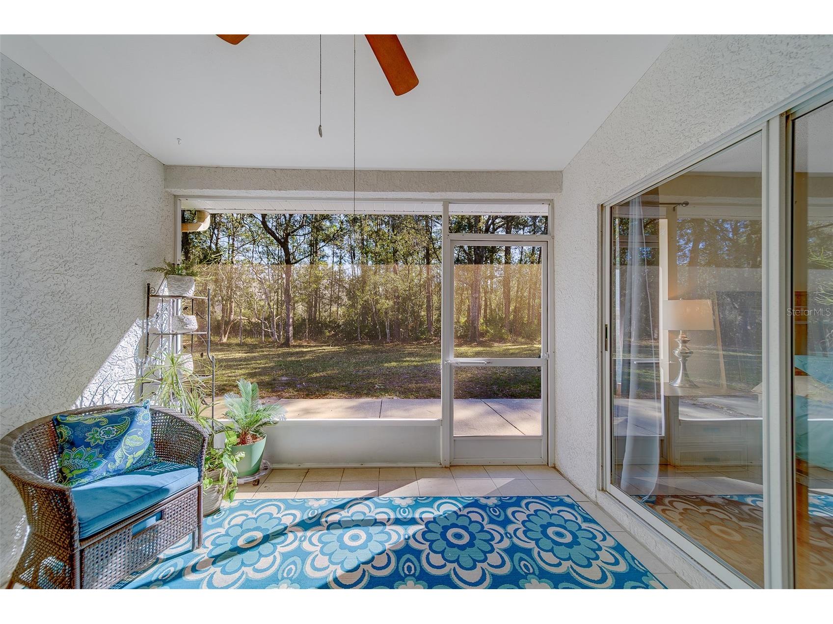 4405 Connery Court Palm Harbor FL 34685 TB8470055 image36