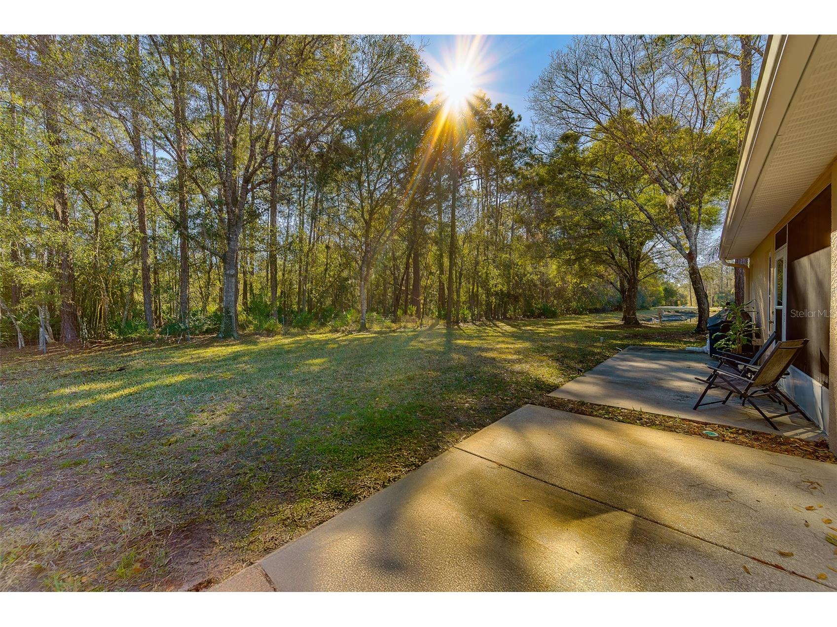 4405 Connery Court Palm Harbor FL 34685 TB8470055 image38