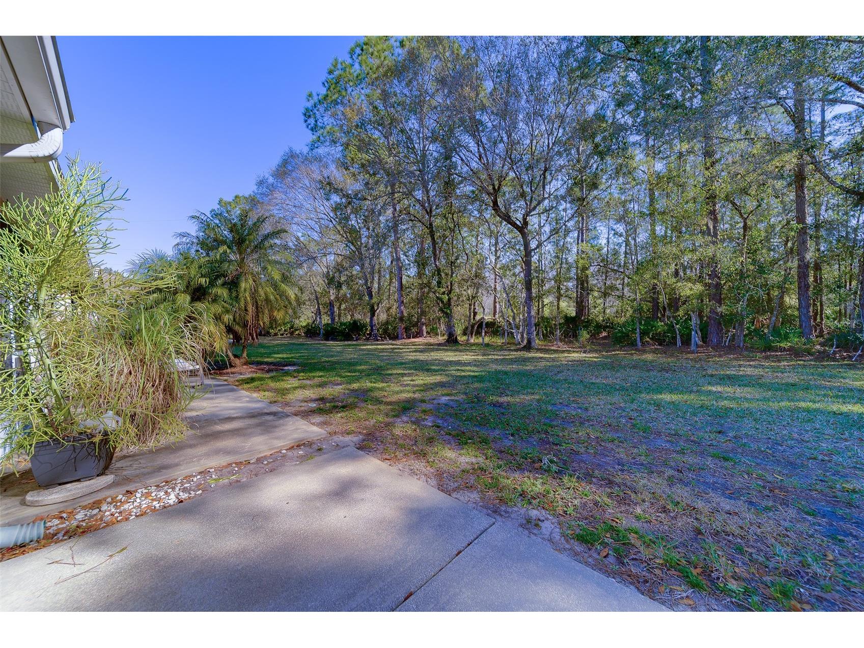 4405 Connery Court Palm Harbor FL 34685 TB8470055 image42