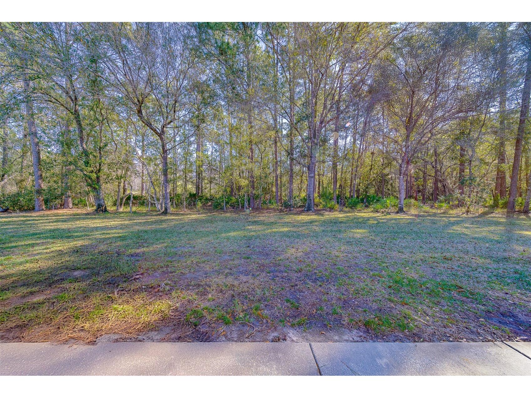 4405 Connery Court Palm Harbor FL 34685 TB8470055 image43