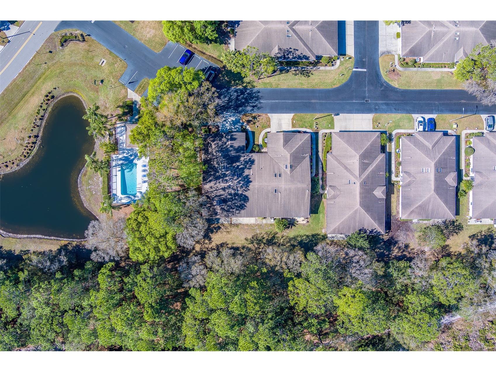 4405 Connery Court Palm Harbor FL 34685 TB8470055 image45