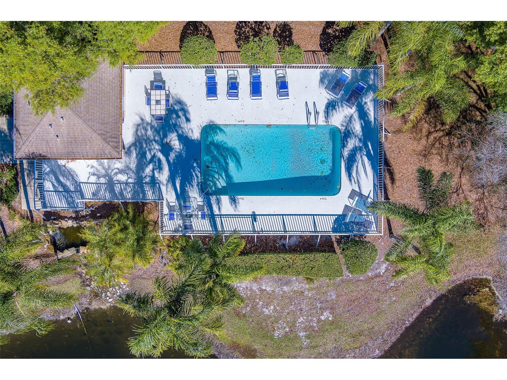 4405 Connery Court Palm Harbor FL 34685 TB8470055 image46