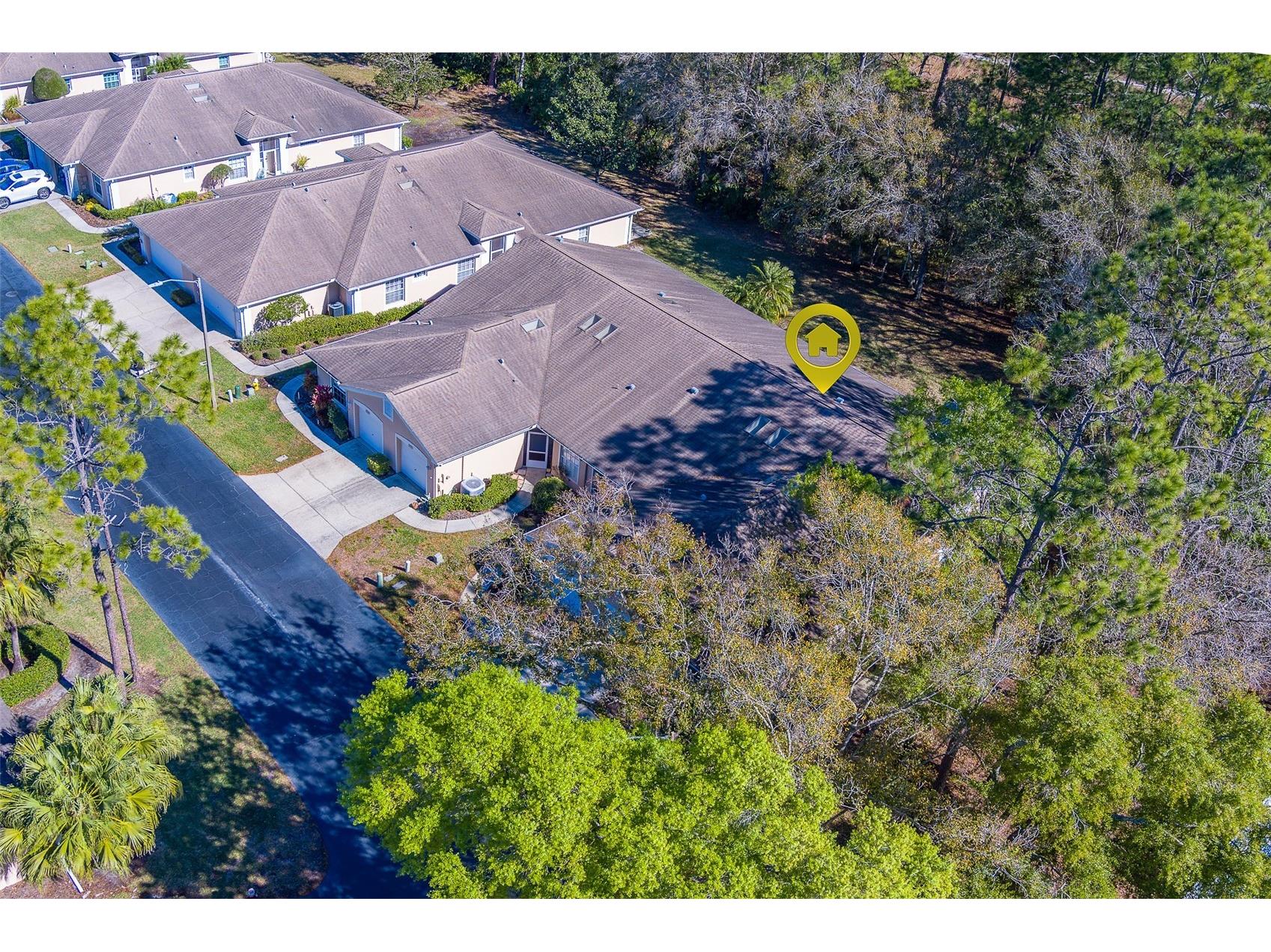 4405 Connery Court Palm Harbor FL 34685 TB8470055 image47