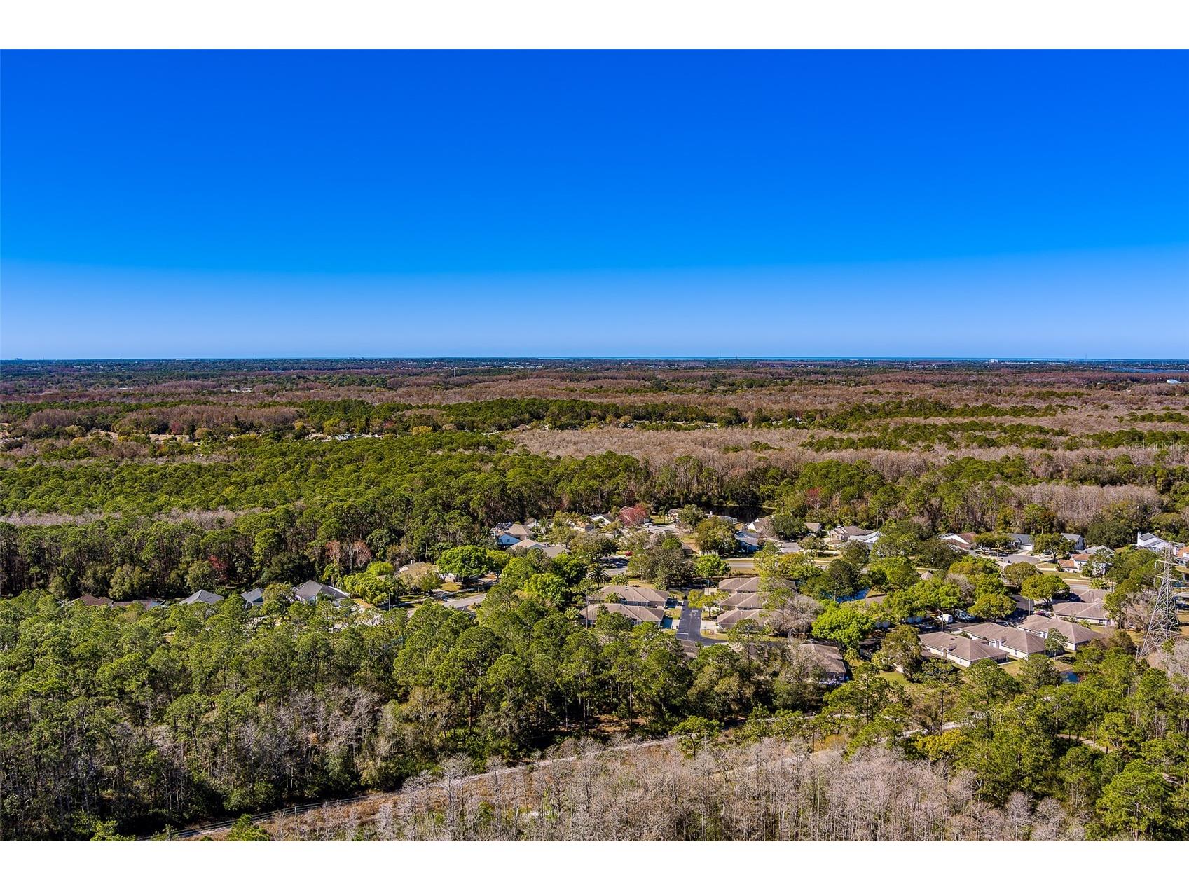 4405 Connery Court Palm Harbor FL 34685 TB8470055 image50