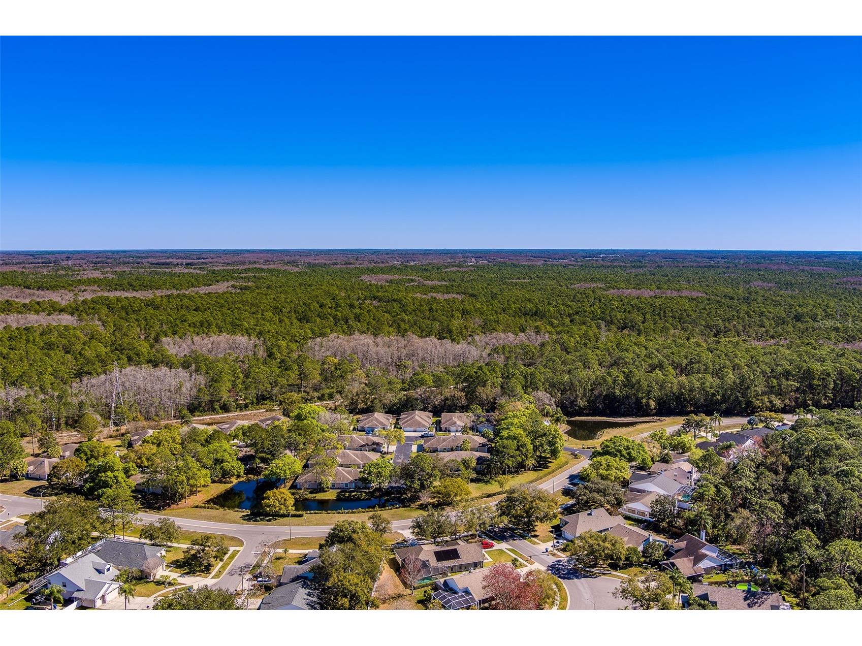 4405 Connery Court Palm Harbor FL 34685 TB8470055 image51