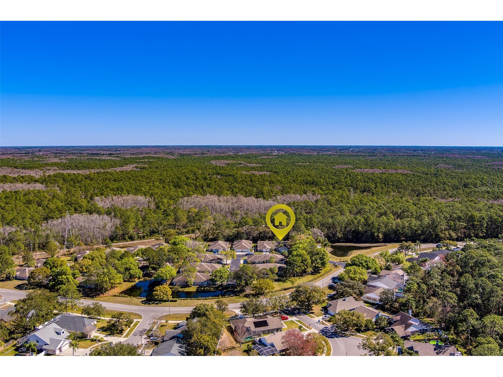 4405 Connery Court Palm Harbor FL 34685 TB8470055 image52