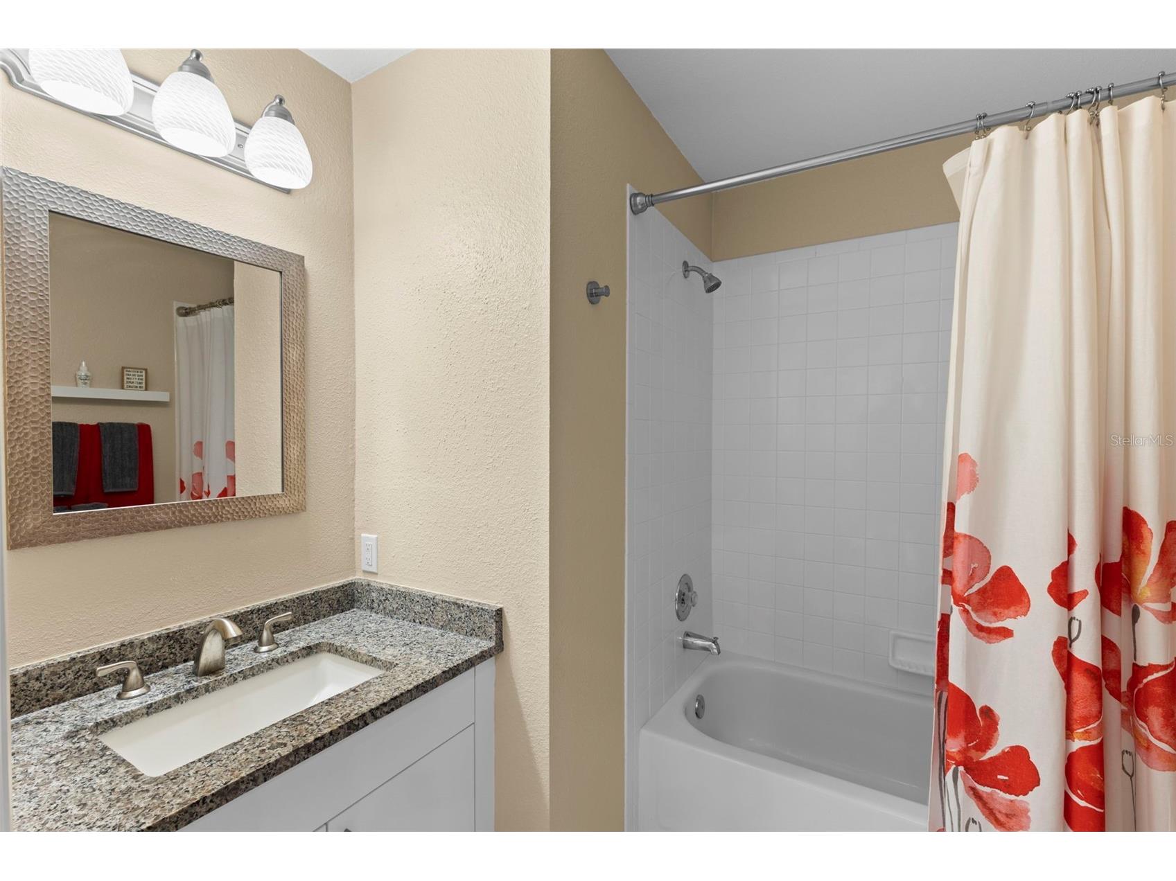4405 Connery Court Palm Harbor FL 34685 TB8513521 image11