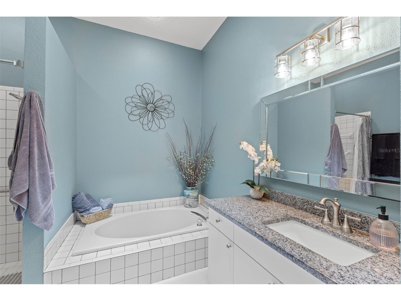 4405 Connery Court Palm Harbor FL 34685 TB8513521 image22