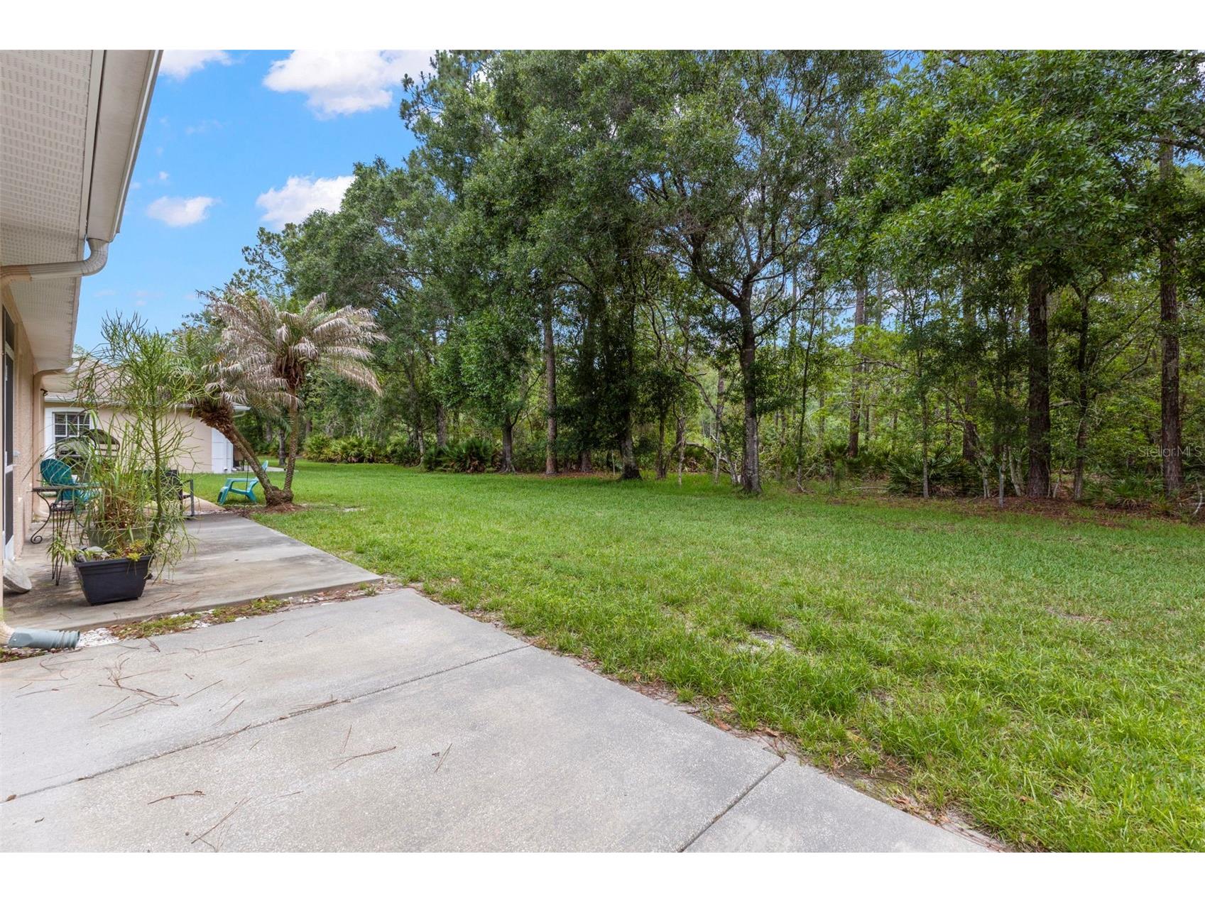 4405 Connery Court Palm Harbor FL 34685 TB8513521 image25