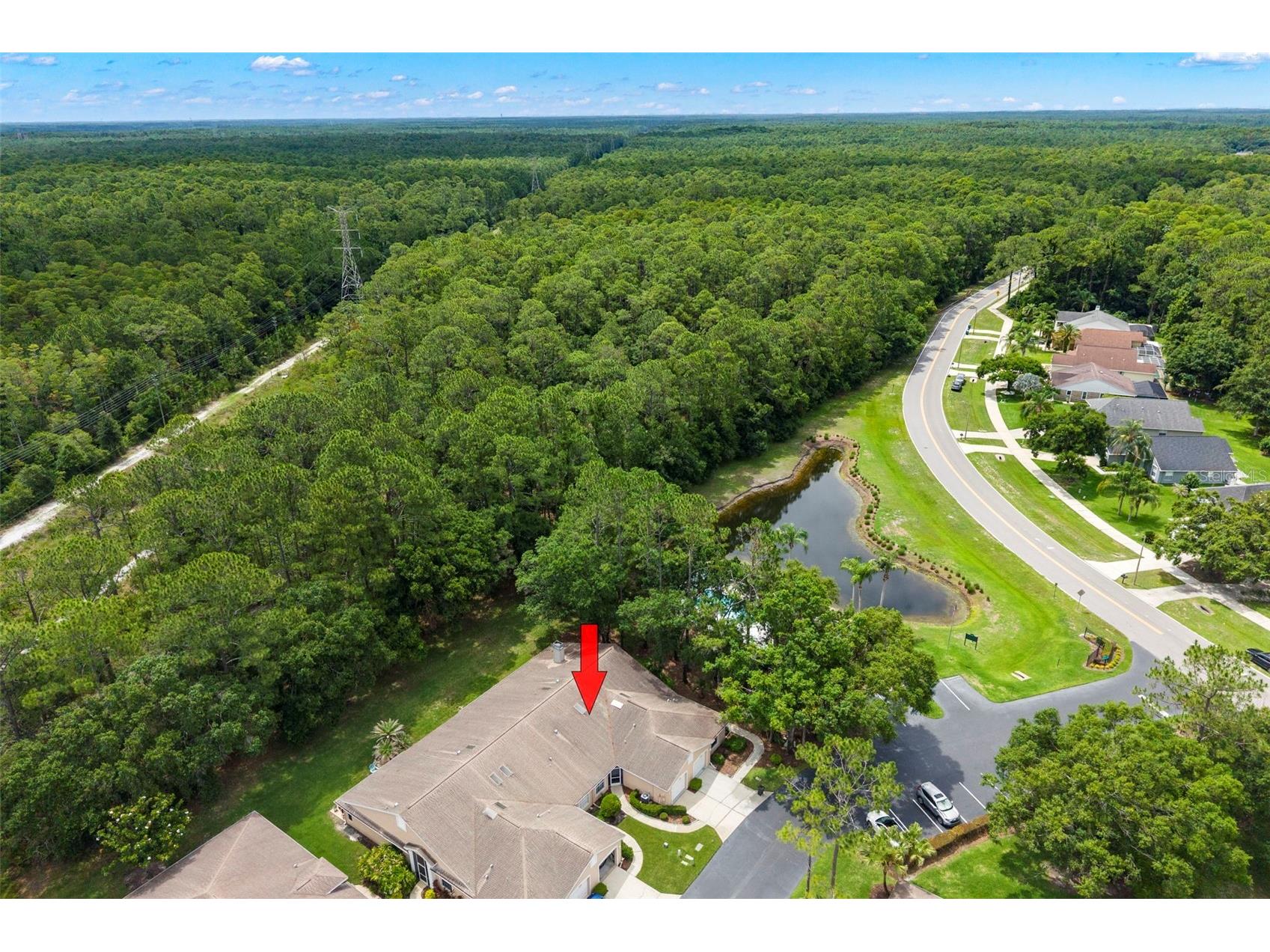 4405 Connery Court Palm Harbor FL 34685 TB8513521 image28