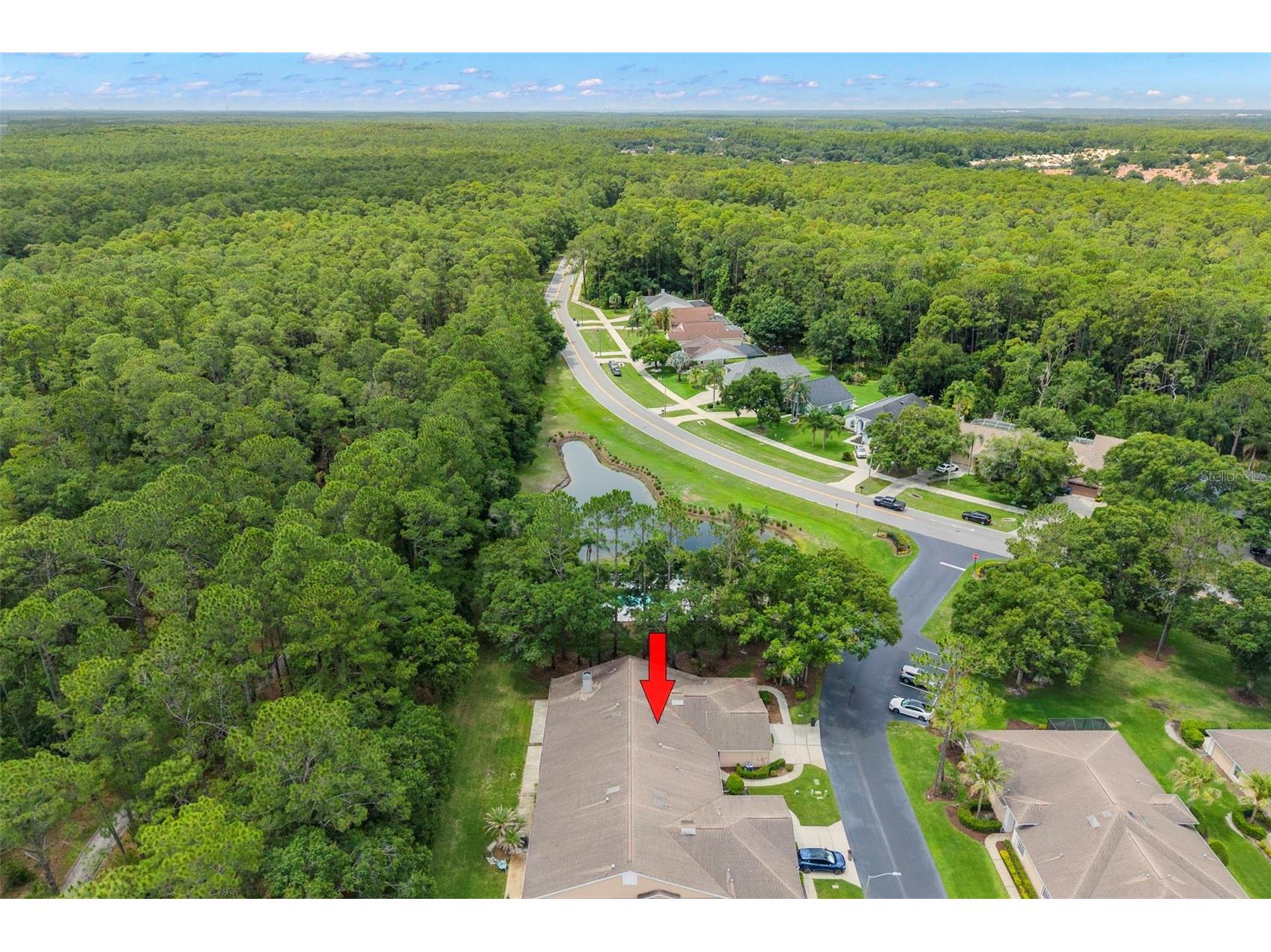 4405 Connery Court Palm Harbor FL 34685 TB8513521 image30