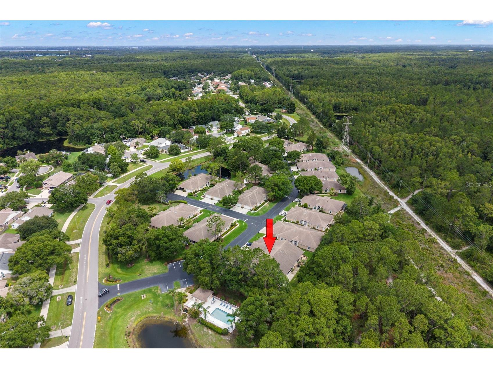4405 Connery Court Palm Harbor FL 34685 TB8513521 image31