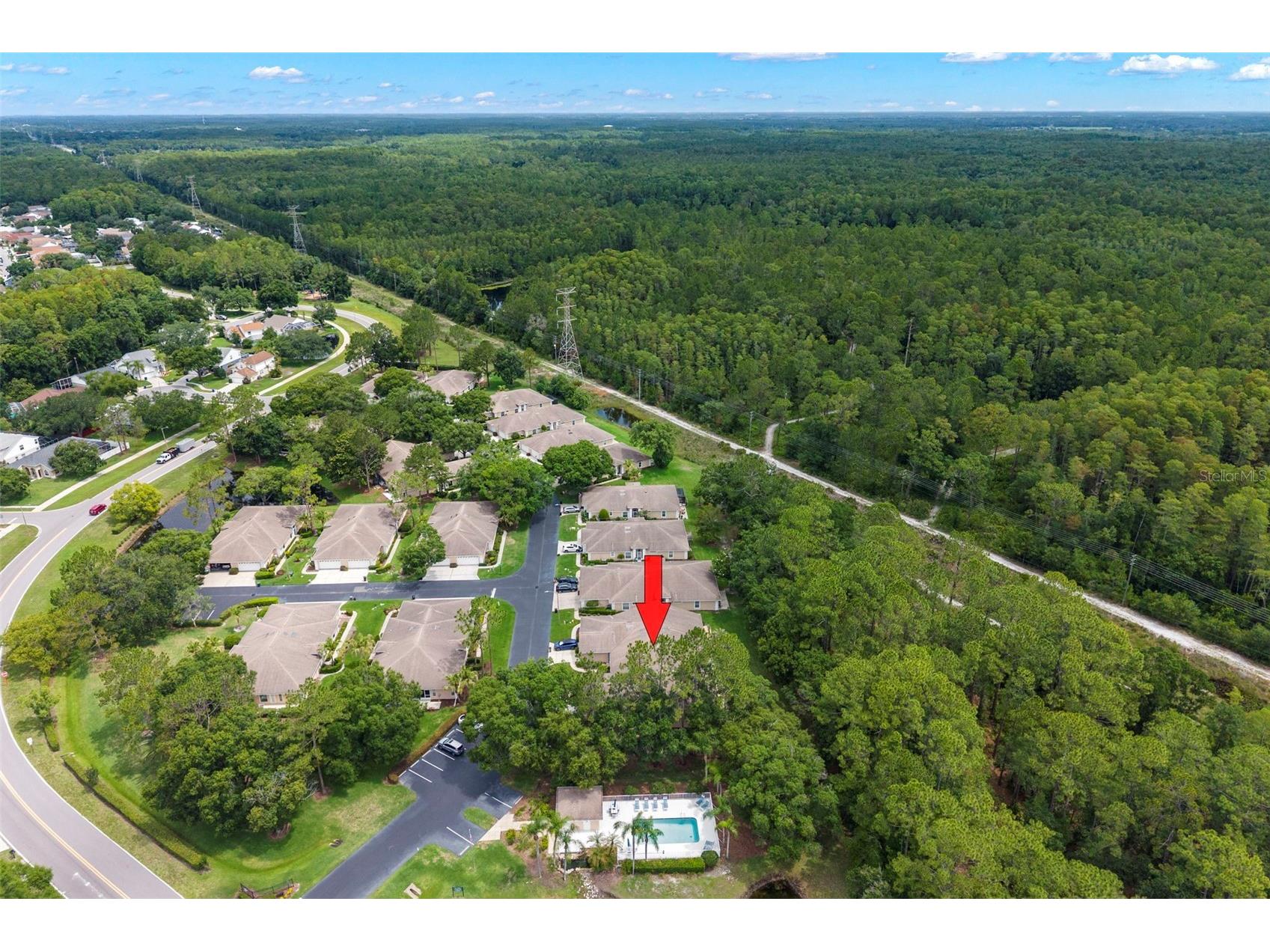 4405 Connery Court Palm Harbor FL 34685 TB8513521 image32