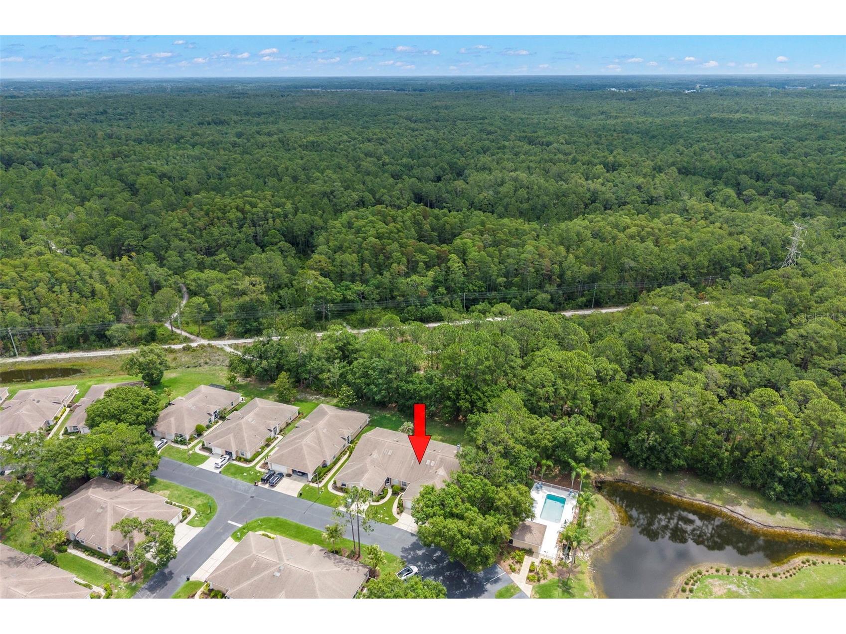 4405 Connery Court Palm Harbor FL 34685 TB8513521 image33