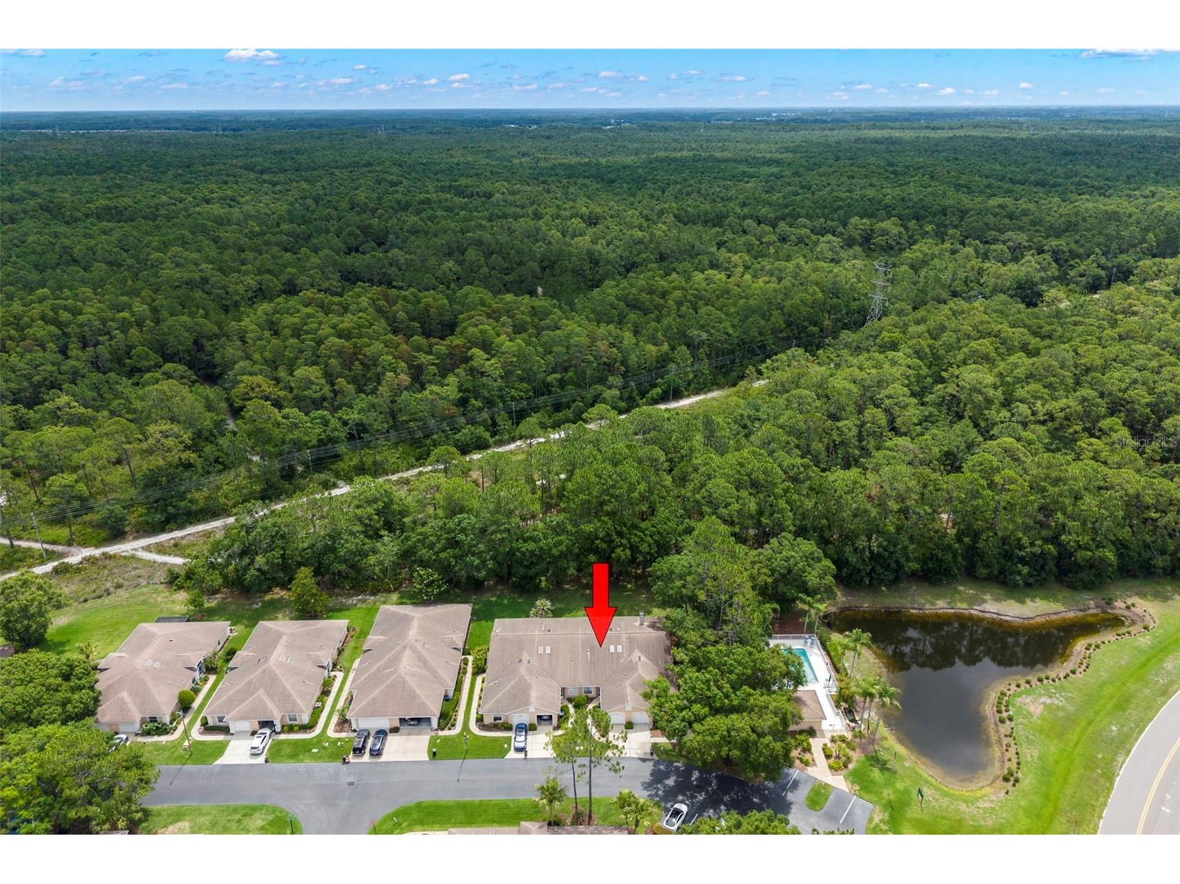 4405 Connery Court Palm Harbor FL 34685 TB8513521 image34