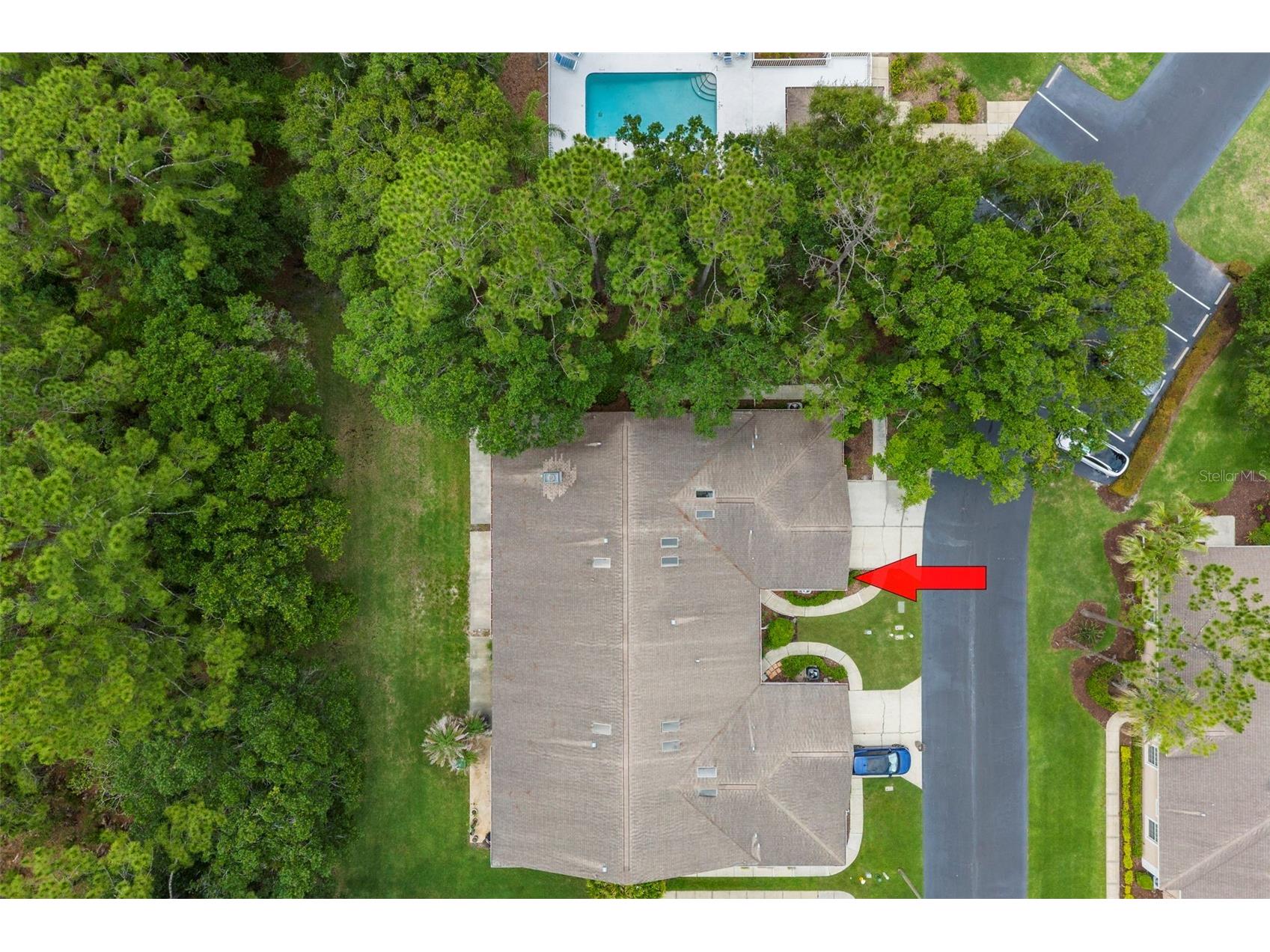 4405 Connery Court Palm Harbor FL 34685 TB8513521 image35