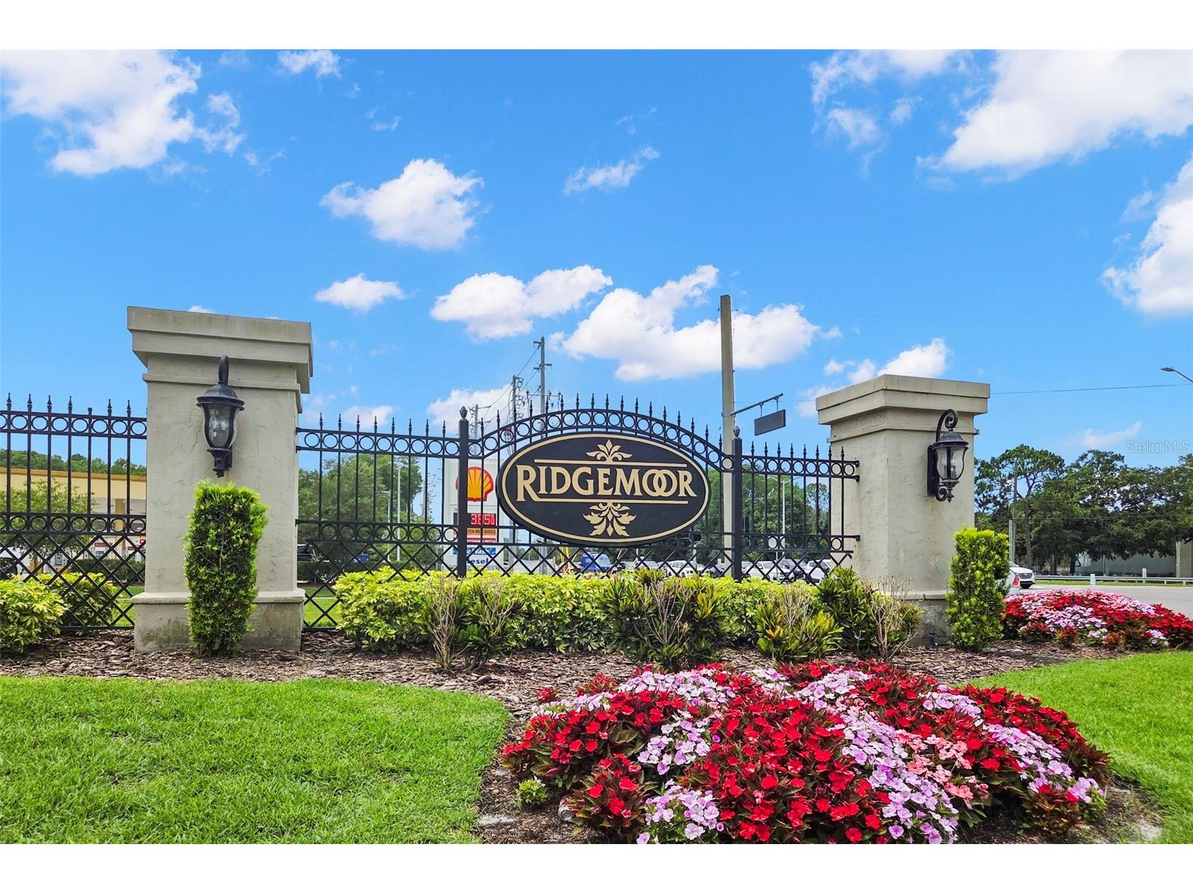 4405 Connery Court Palm Harbor FL 34685 TB8513521 image36