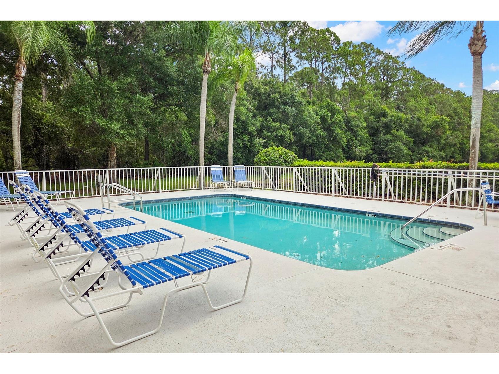 4405 Connery Court Palm Harbor FL 34685 TB8513521 image37