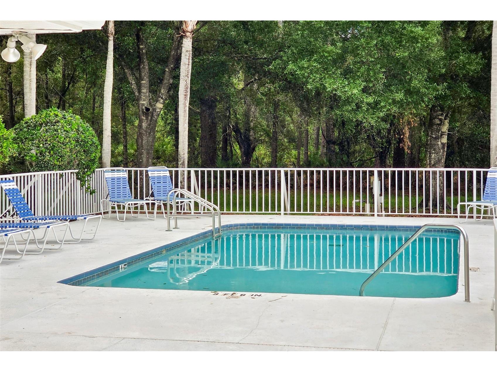 4405 Connery Court Palm Harbor FL 34685 TB8513521 image38