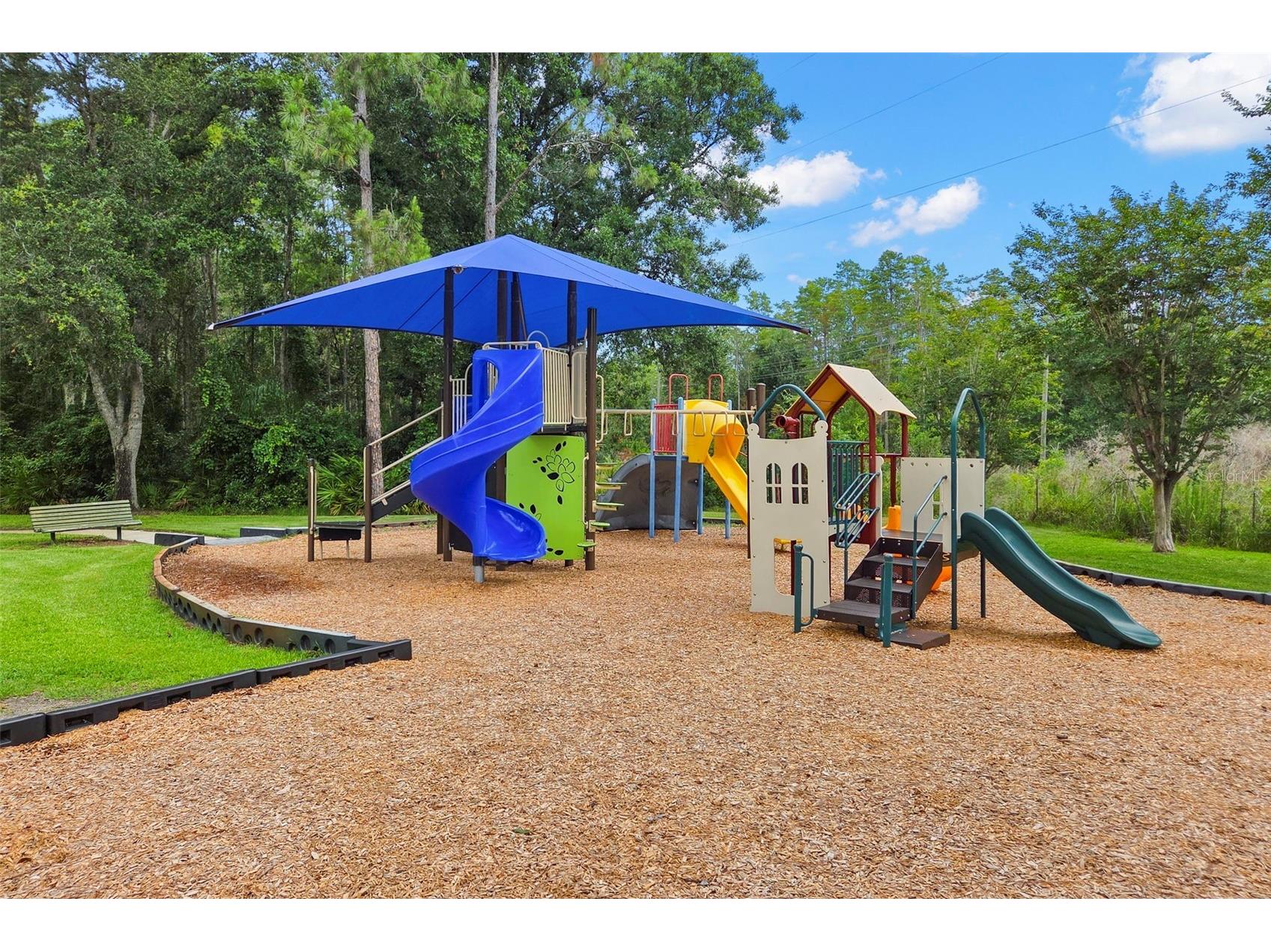 4405 Connery Court Palm Harbor FL 34685 TB8513521 image39