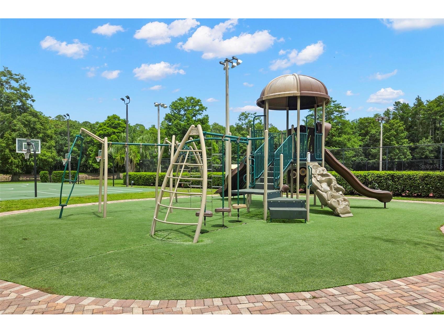 4405 Connery Court Palm Harbor FL 34685 TB8513521 image41