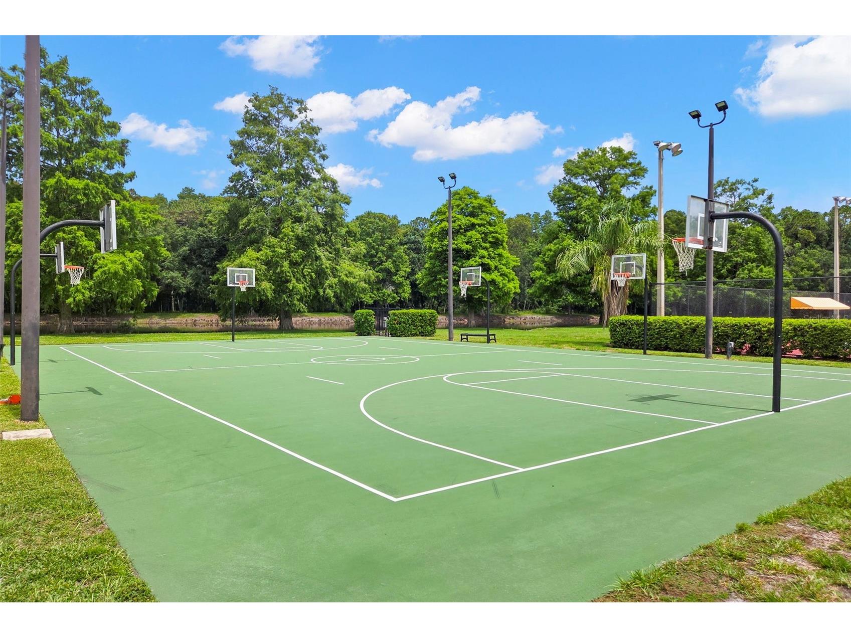4405 Connery Court Palm Harbor FL 34685 TB8513521 image42