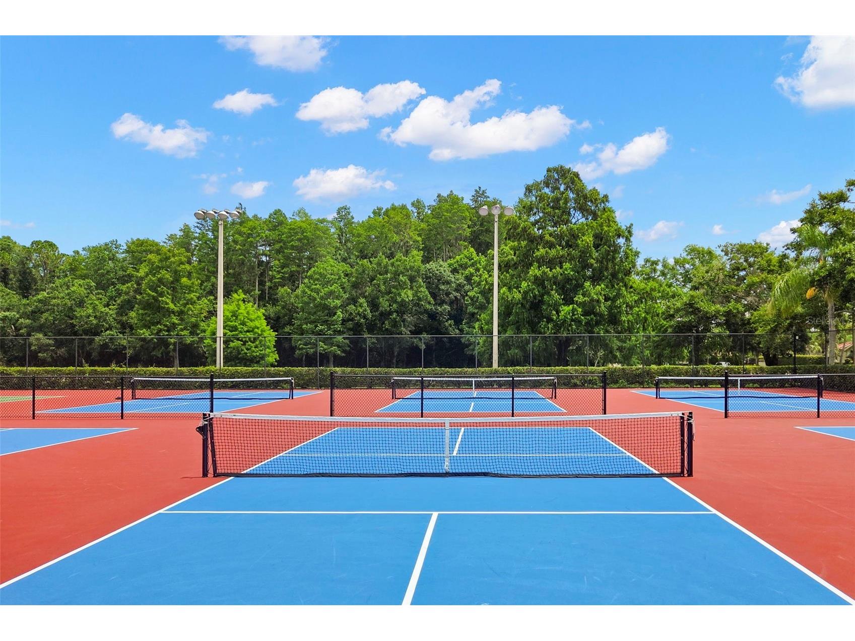 4405 Connery Court Palm Harbor FL 34685 TB8513521 image43
