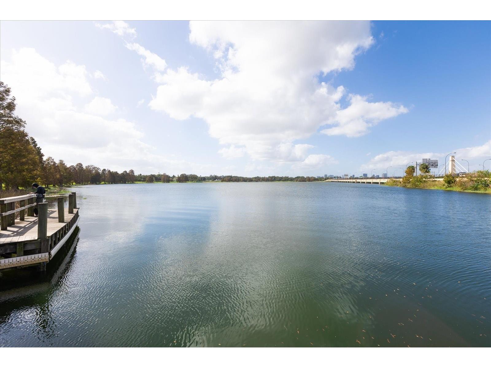 4405 Rockledge Road Orlando FL 32807 O6380005 image66