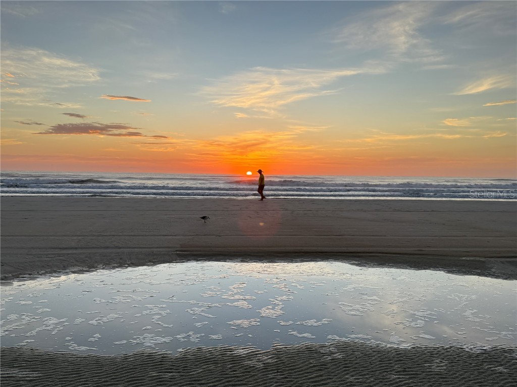 4405 Sea Mist Drive #114 New Smyrna Beach FL 32169 NS1085527 image2