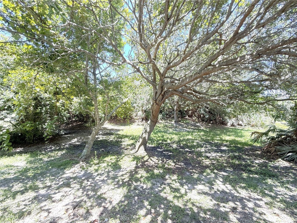 4405 Sea Mist Drive #114 New Smyrna Beach FL 32169 NS1085527 image41