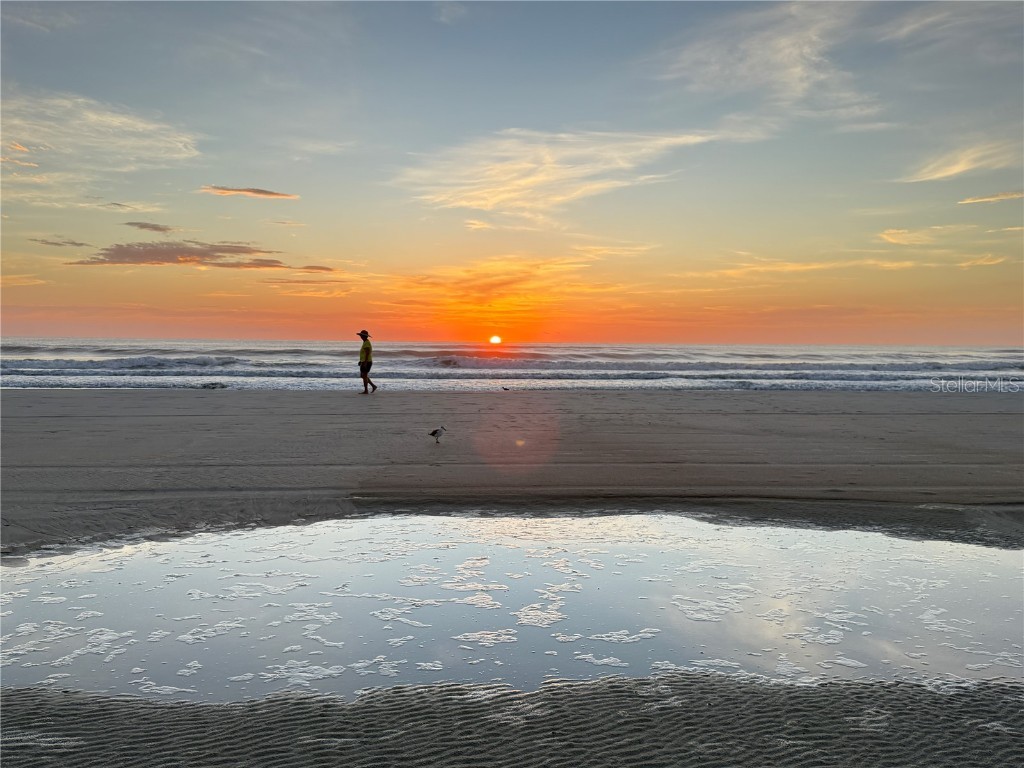 4405 Sea Mist Drive #114 New Smyrna Beach FL 32169 NS1085527 image44