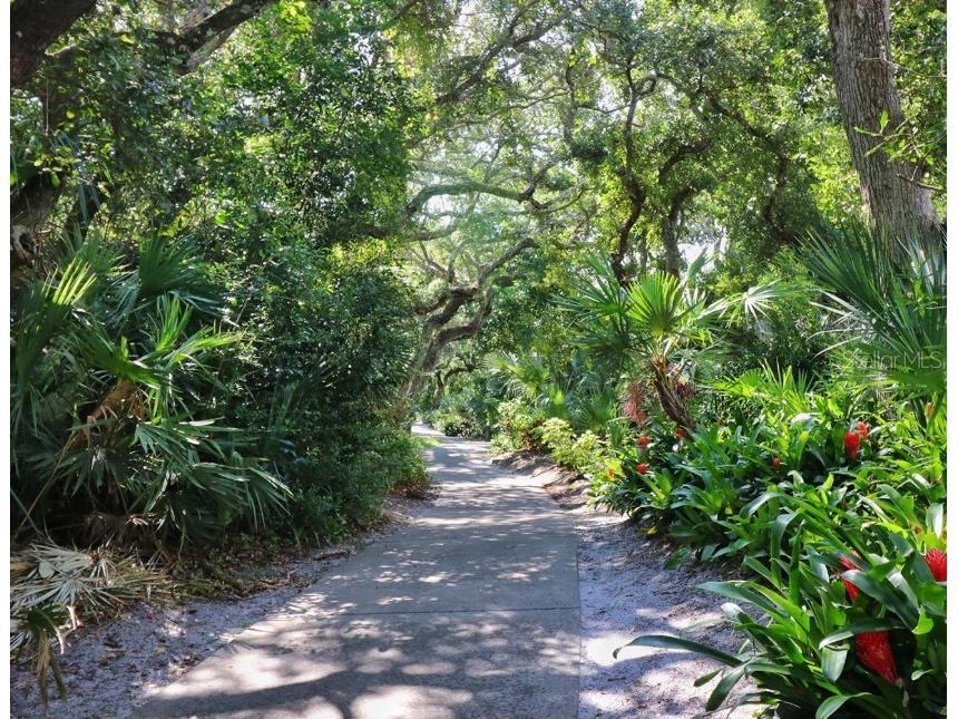 4405 Sea Mist Drive #114 New Smyrna Beach FL 32169 NS1085527 image67