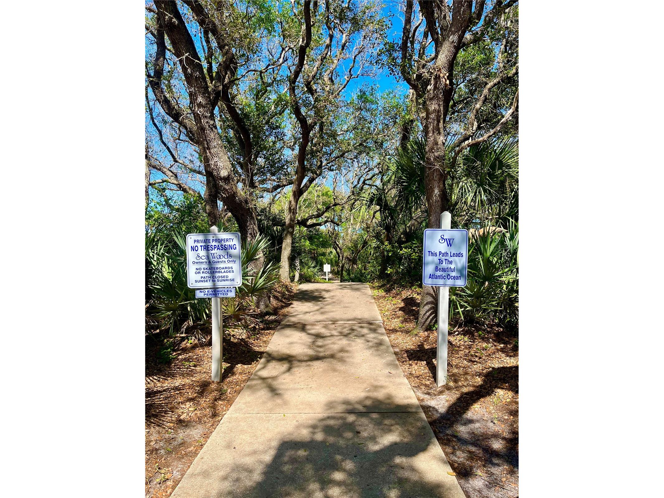 4405 Sea Mist Drive #216 New Smyrna Beach FL 32169 V4948534 image21