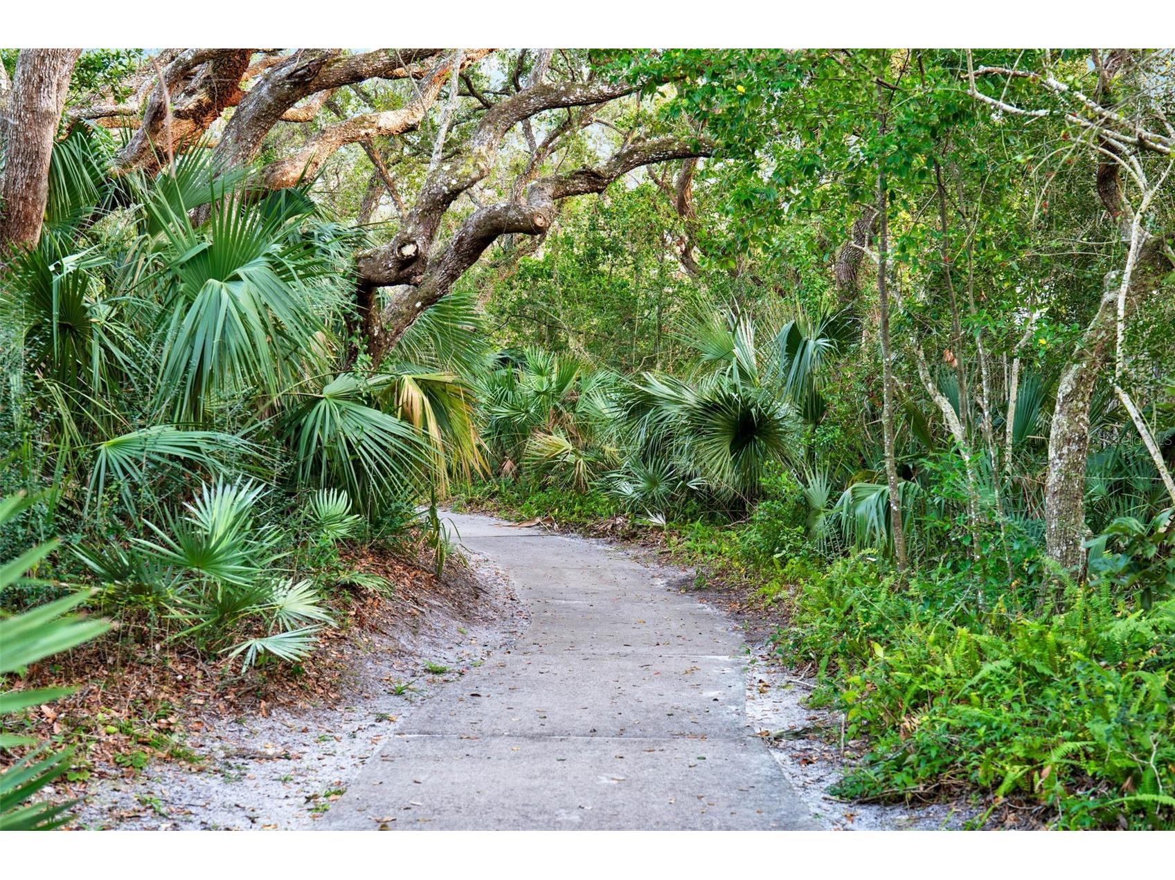 4405 Sea Mist Drive #216 New Smyrna Beach FL 32169 V4948534 image22