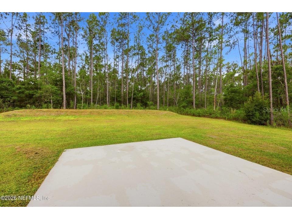 4405 Susan Street Hastings FL 32145 O6423896 image25
