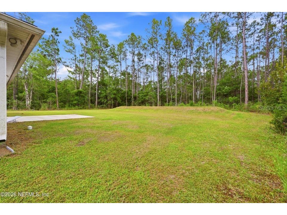 4405 Susan Street Hastings FL 32145 O6423896 image27