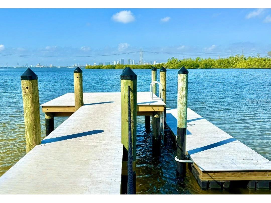 4405 Tuscan Loon Drive Tampa FL 33619 TB8354404 image3