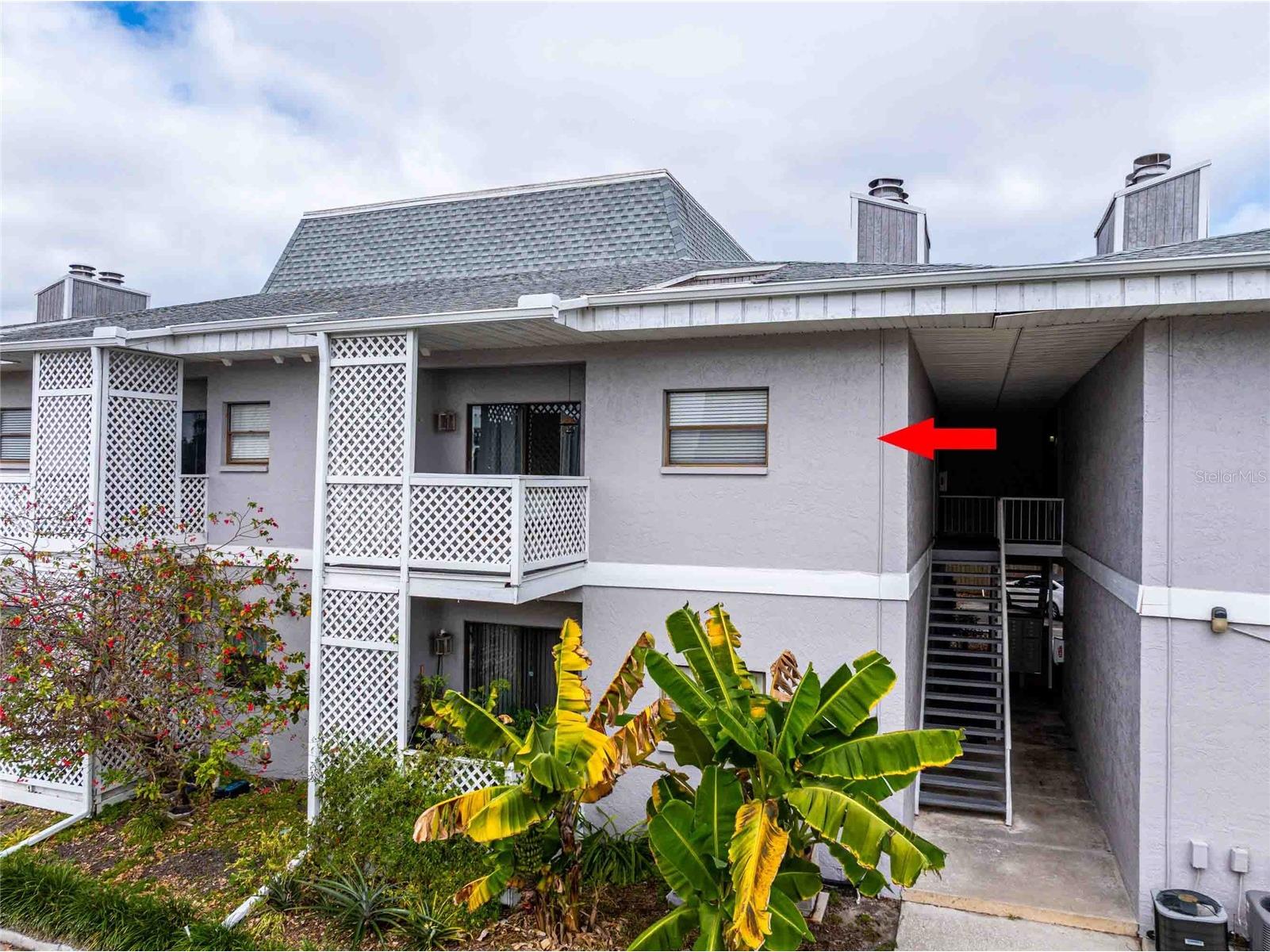 4405 W Fair Oaks Avenue #8 Tampa FL 33611 TB8469424 image1