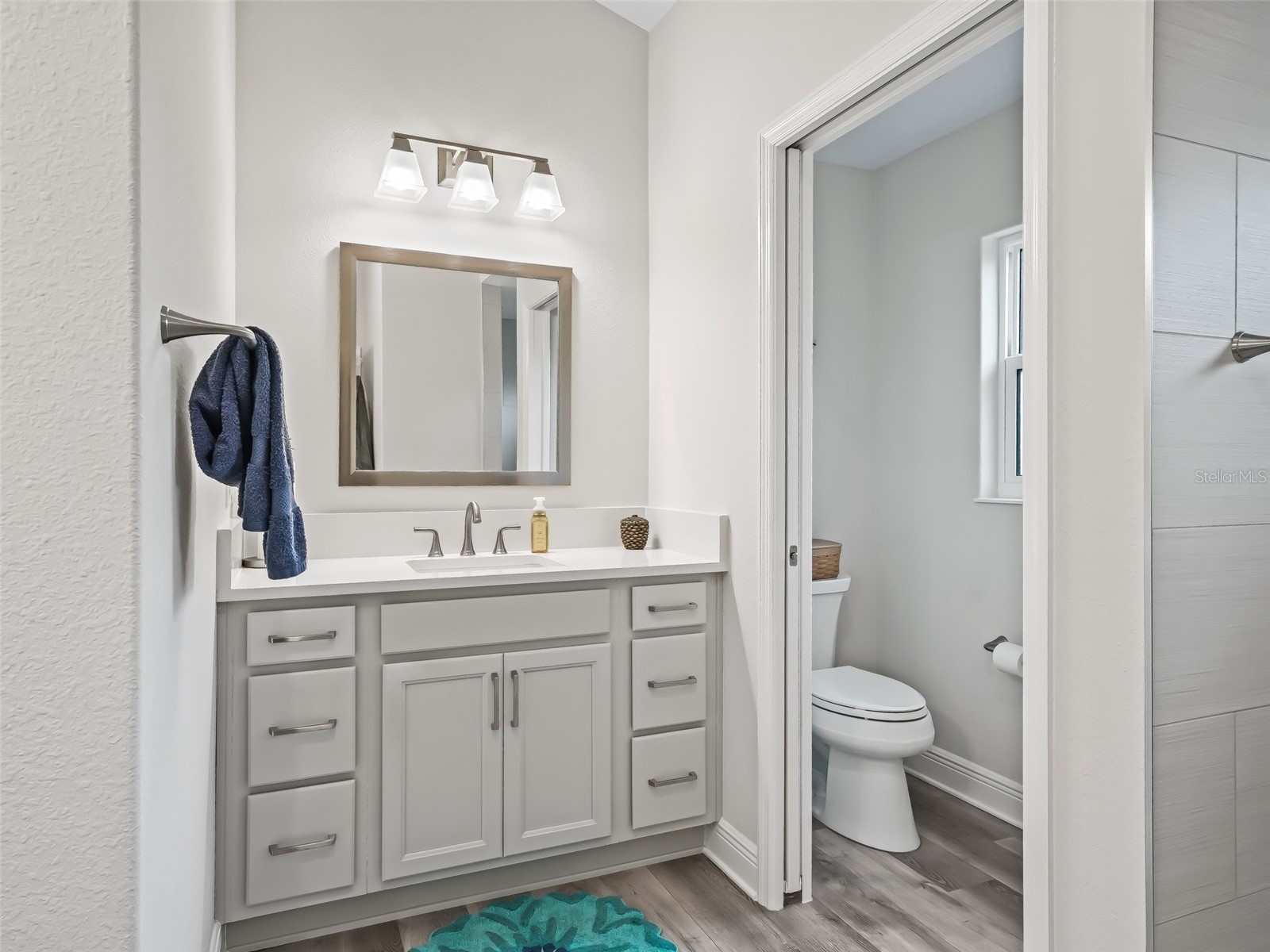 4406 Creighton Loop The Villages FL 32163 G5100580 image26