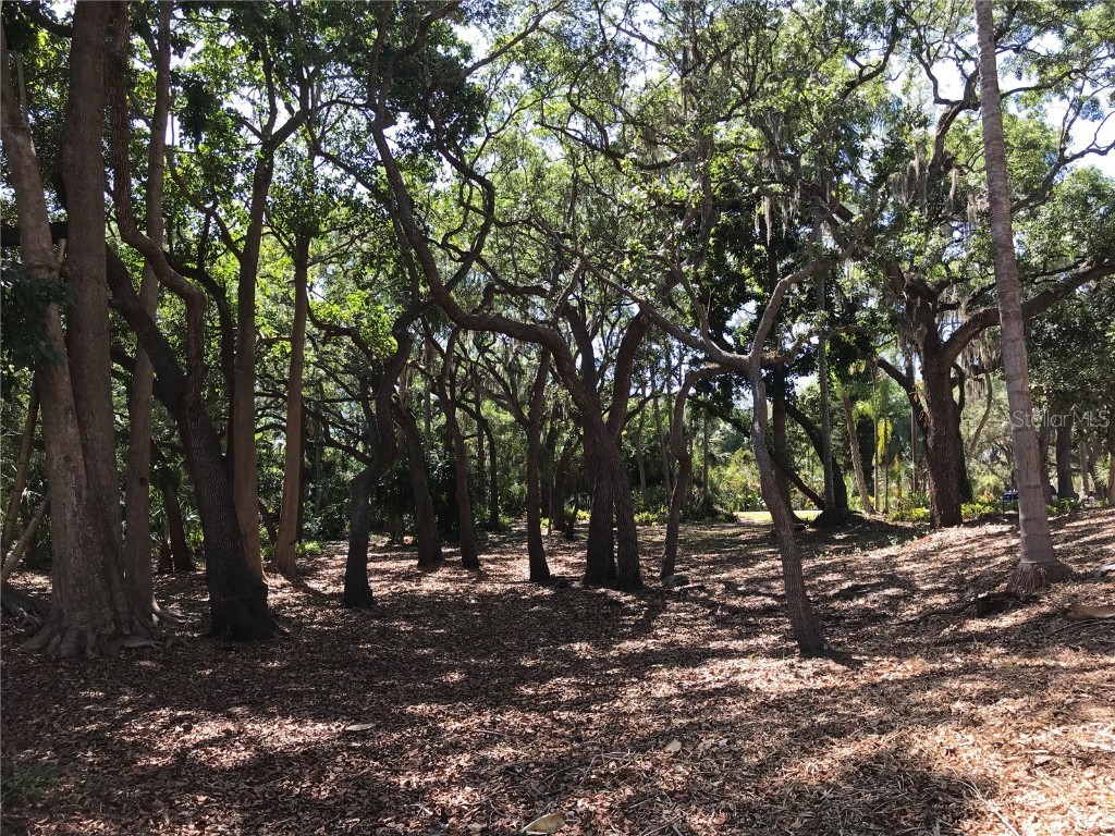 4407 S Shade Avenue Sarasota FL 34231 - PHILLIPPI CREEK A4672615 image10