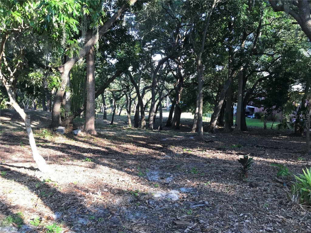 4407 S Shade Avenue Sarasota FL 34231 - PHILLIPPI CREEK A4672615 image13