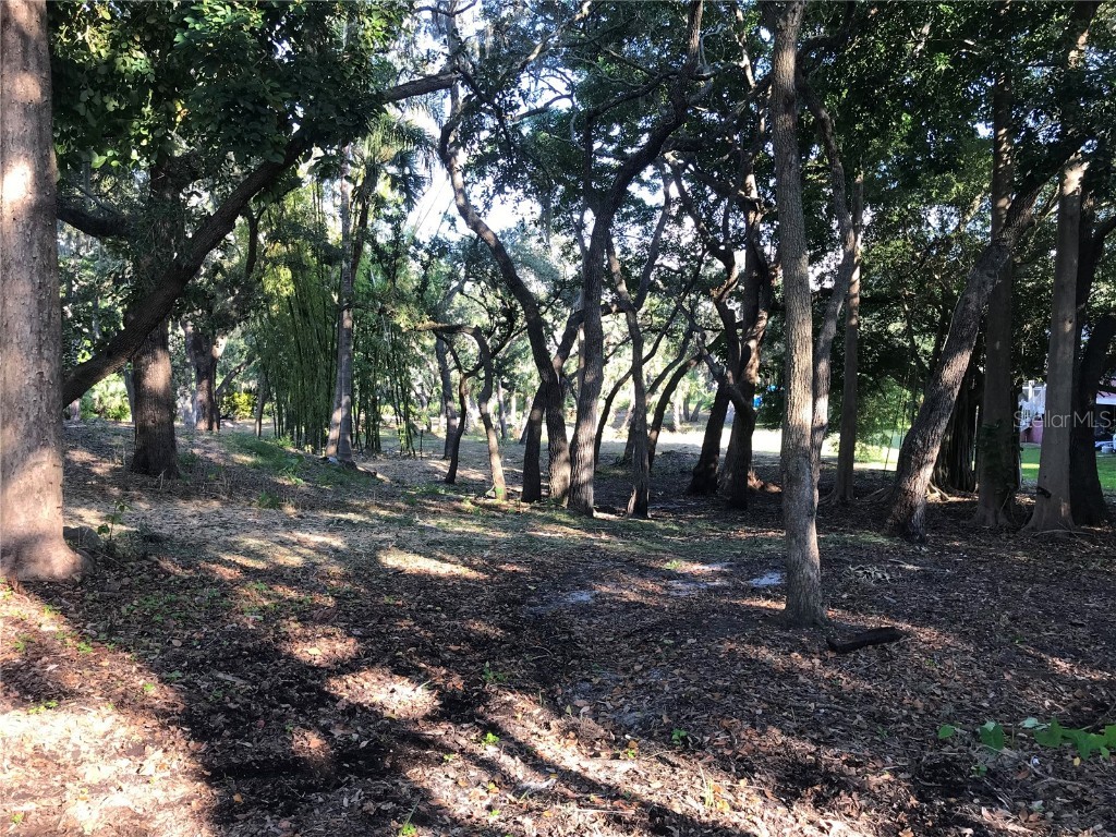 4407 S Shade Avenue Sarasota FL 34231 - PHILLIPPI CREEK A4672615 image14