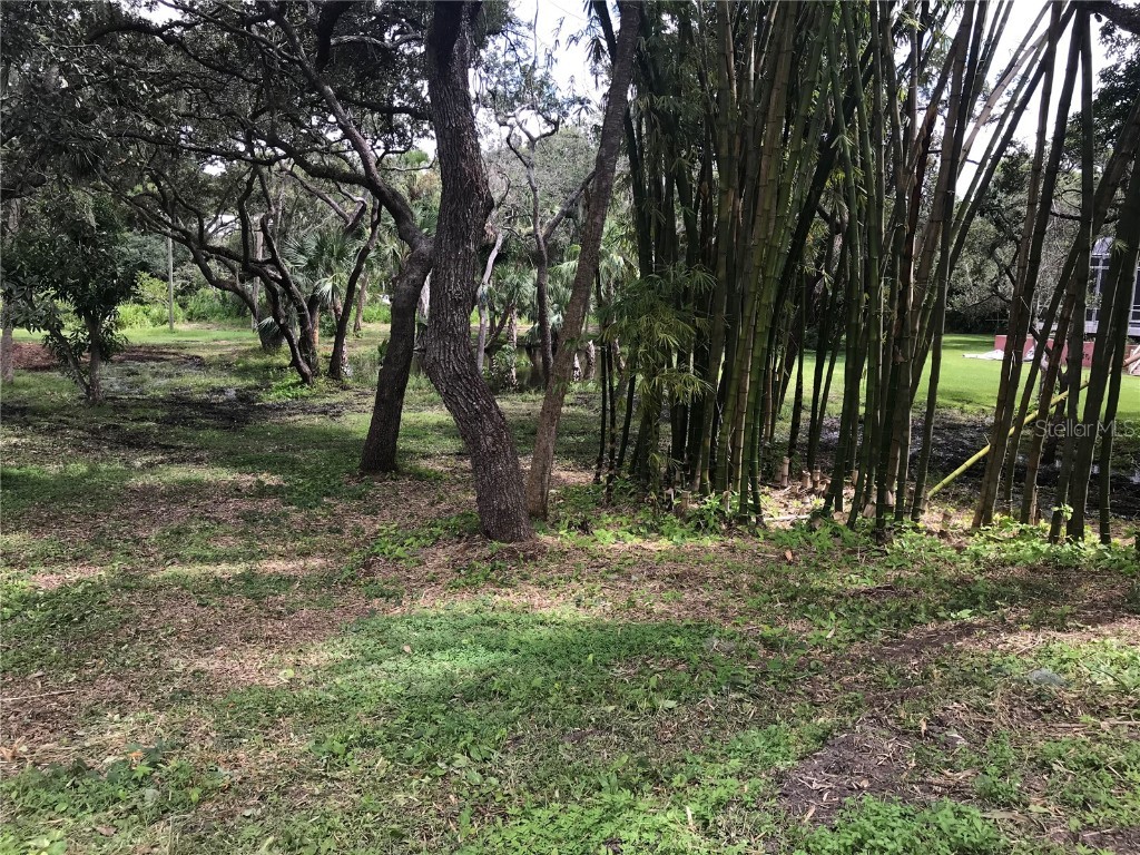 4407 S Shade Avenue Sarasota FL 34231 - PHILLIPPI CREEK A4672615 image15