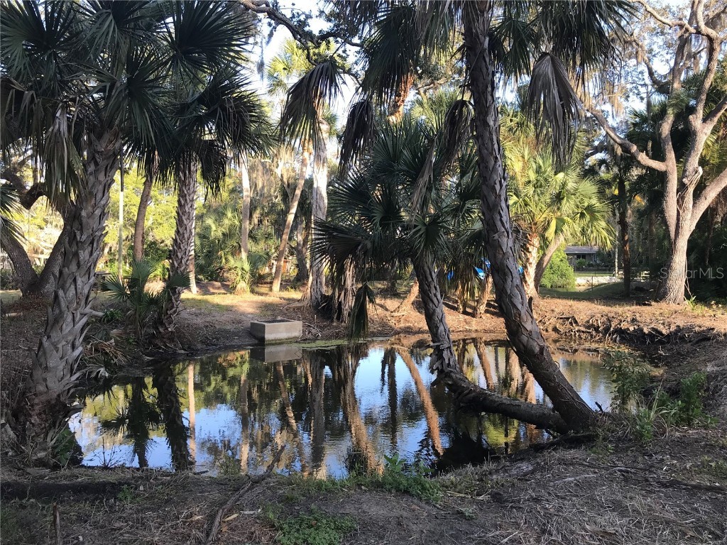 4407 S Shade Avenue Sarasota FL 34231 - PHILLIPPI CREEK A4672615 image17