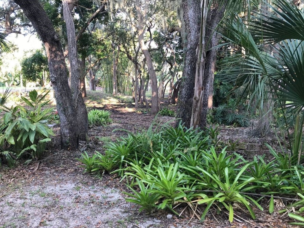 4407 S Shade Avenue Sarasota FL 34231 - PHILLIPPI CREEK A4672615 image5