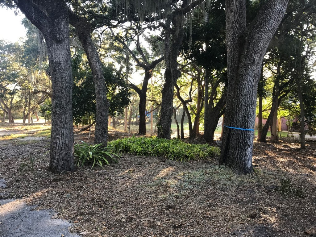 4407 S Shade Avenue Sarasota FL 34231 - PHILLIPPI CREEK A4672615 image7